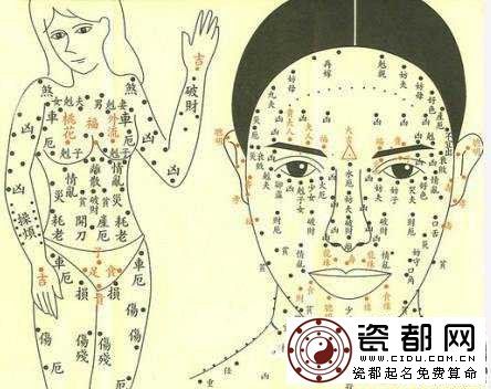 女人体相分析 女人体相算命