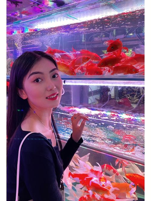 梦到红色的鱼在水里游,梦到鱼在水里游是什么意思