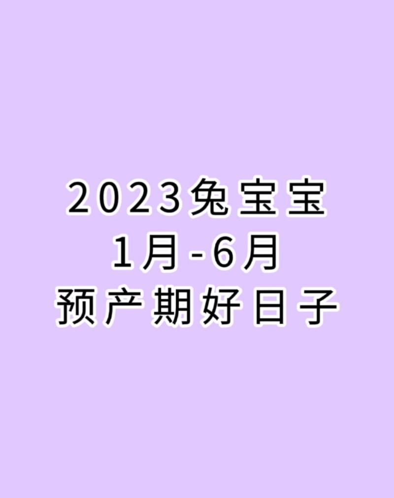 2023年生兔宝宝好不好