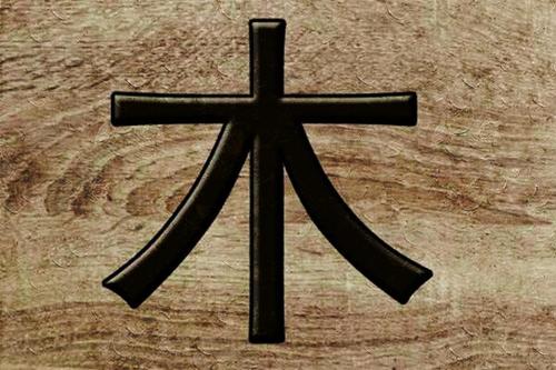 八字木多是什么