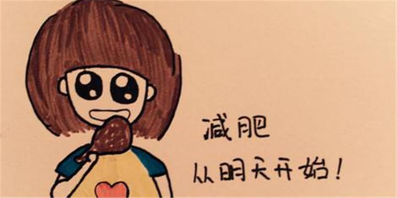 减肥从来不成功