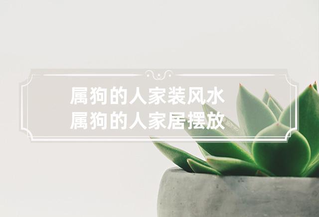 属狗的人家装风水