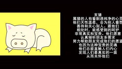 哪些生肖人一点耐心都没有