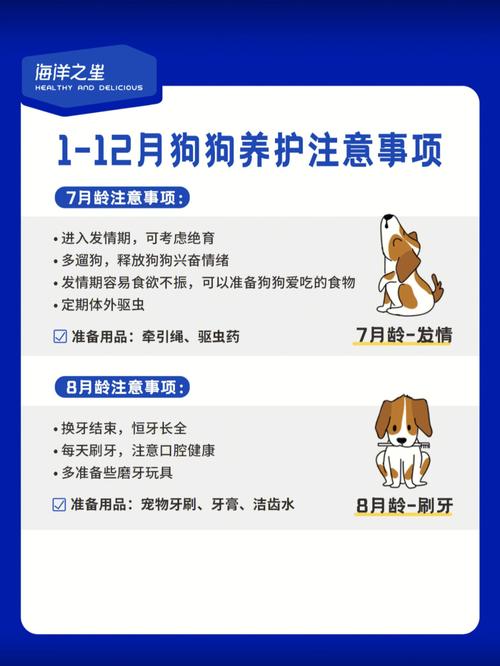 1月生肖狗无节操宜忌