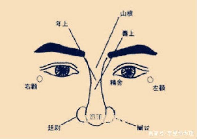 怎样的鼻子招财