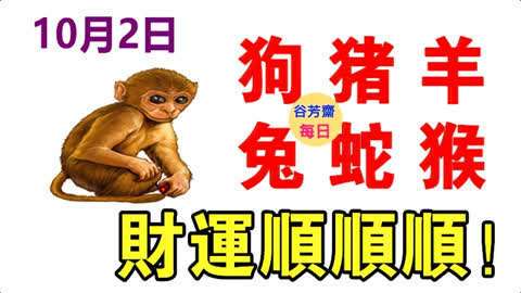 01月12日生肖运势狗、猪、羊大吉