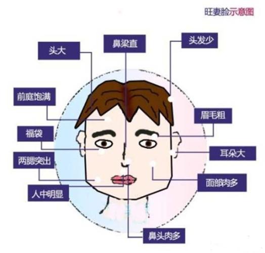 八字命理:最旺妻的男性命格