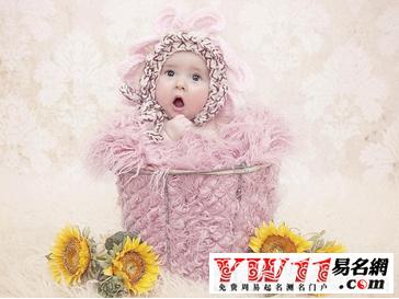 郑姓女孩名字满分-郑颖知名字打多少分