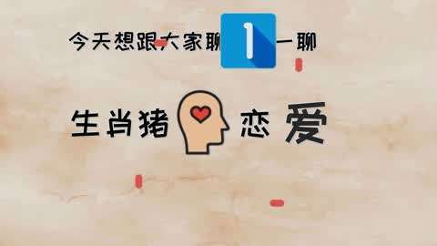 属猪的人在爱情中都有哪些底线?