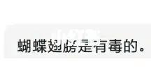 梦到很多蝴蝶飞到自己身上预示着什么意思