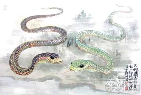 做梦梦到蟒蛇是什么征兆