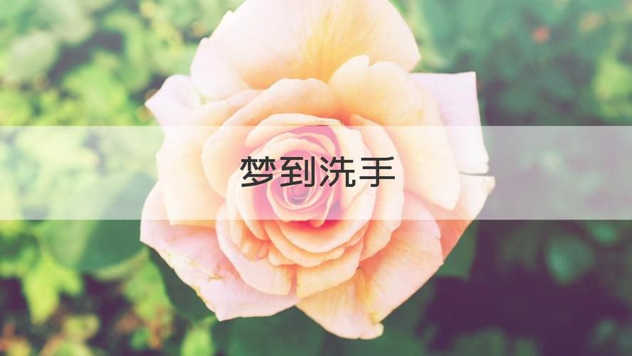 梦见洗手是什么意思周公解梦(周公解梦,手,手指,指甲,脚)