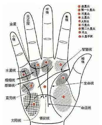 相学大全:什么是日月角