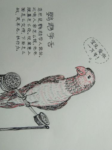 鹦鹉学舌五行吉凶_鹦鹉学舌成语故事