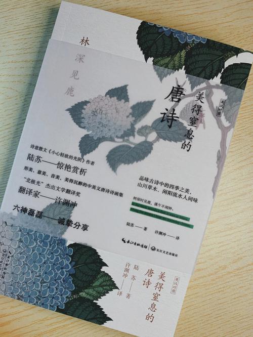 诗经唐诗宋词取名男孩