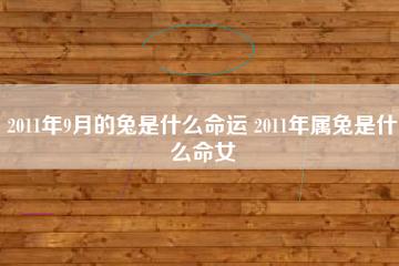 2011年属兔的女孩命好不好