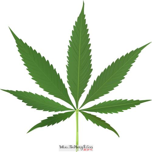 梦见金树叶是什么意思