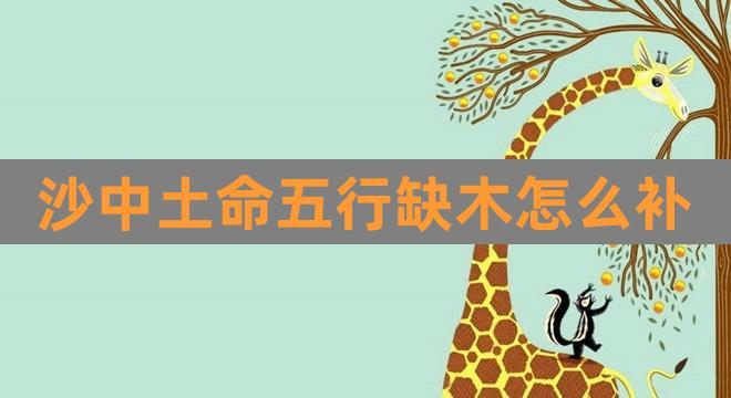 五行缺木要补木吗