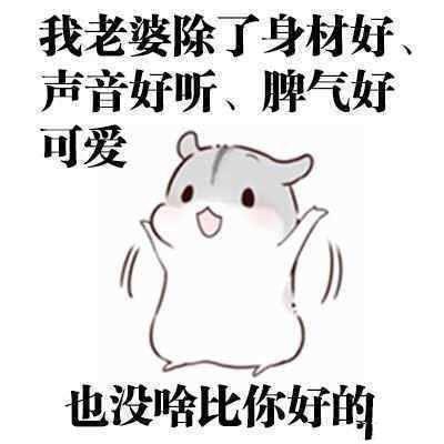 属猪老公如何花式宠老婆,这三点就让老婆离不开自己