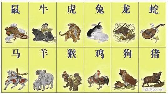 十二生肖中什么生肖最旺财?