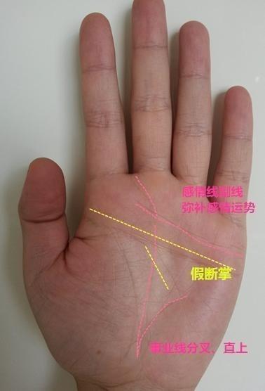 右手假断掌纹的女人手相