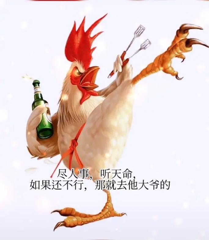 老天爷选的人要做什么
