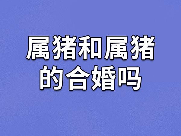 属猪能和属猪结婚吗