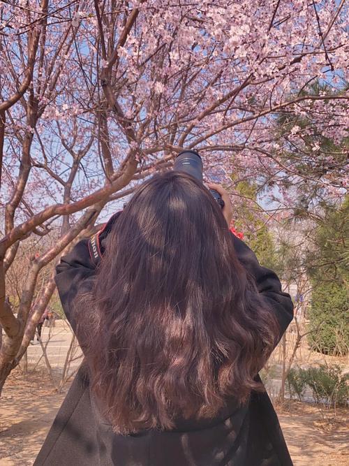 明年|接住正桃花