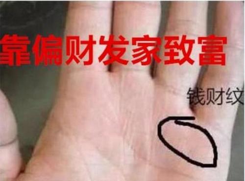 碎纹手相特征 这种手相不好