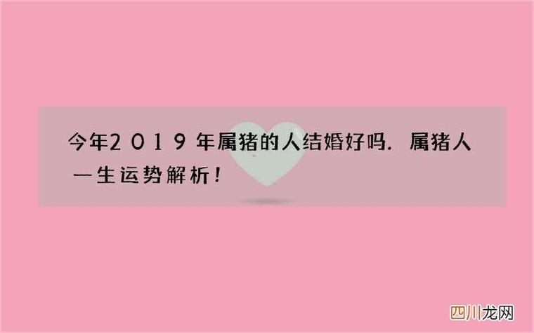 属猪的人2019年可以结婚吗