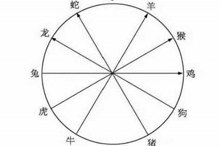 生肖猴和什么生肖的八字最合?