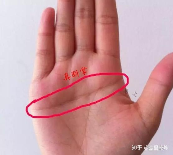 假断掌的男人一生命运好不好