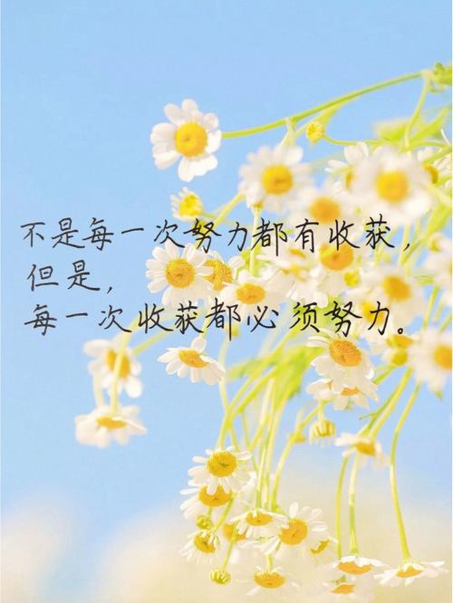 你的生活现在与未来有何不同