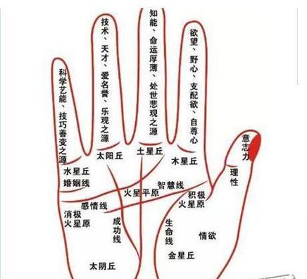 手相事业线图解