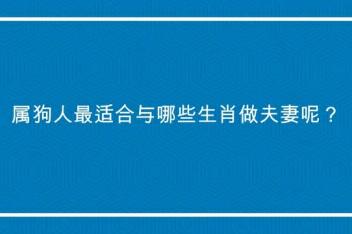 属猴和属狗的会结婚吗