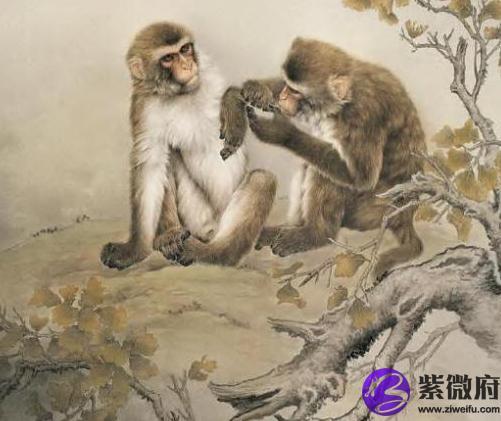 生肖猴:1932年出生的属猴人运势