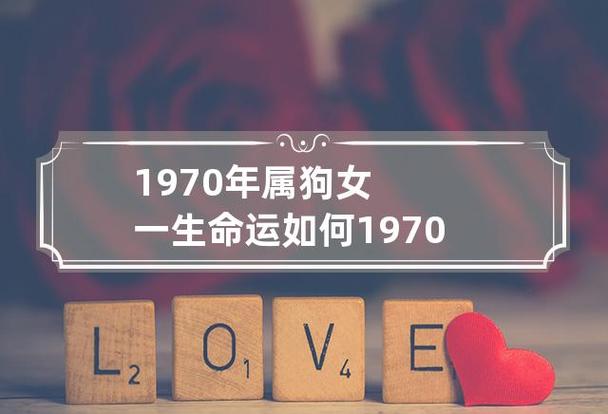 70年属狗人一生的命运和婚姻