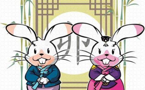 87属兔一生有几次婚姻