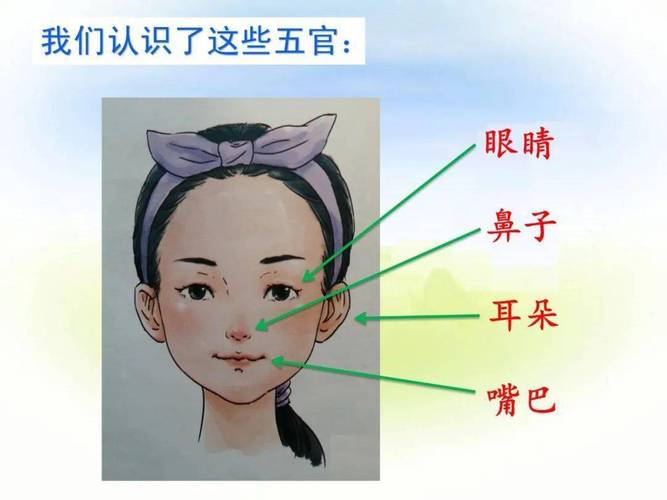 你的五官也有这些特征吗