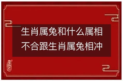 属兔不能跟什么属相结婚