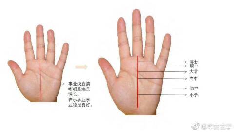 从掌纹探寻你与玄学的缘分
