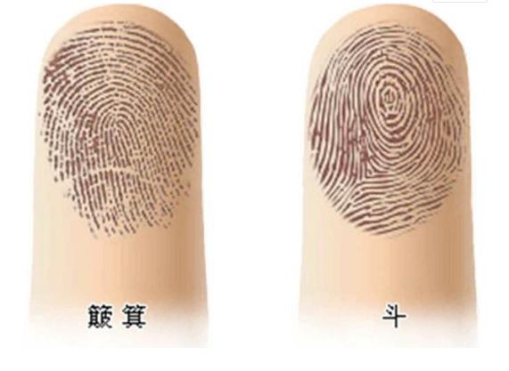指纹算命9个簸箕是不是好命