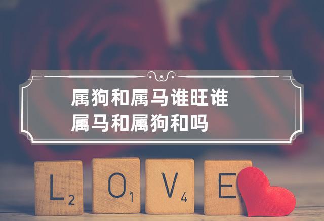属狗和属马谁旺谁