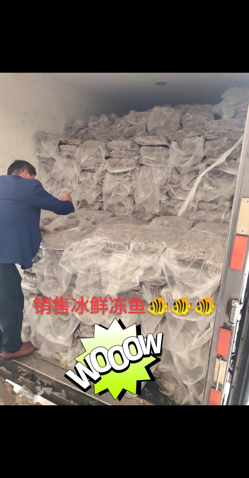 梦见抢冻鱼 梦见速冻鱼