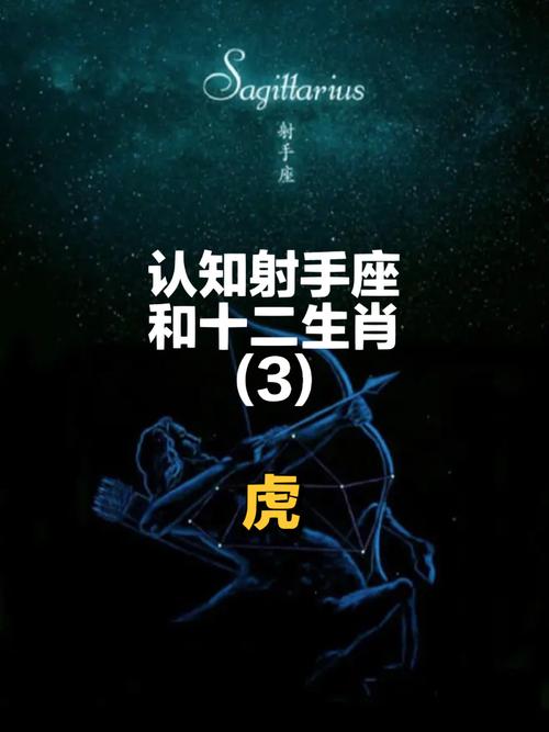 属虎射手座男生性格