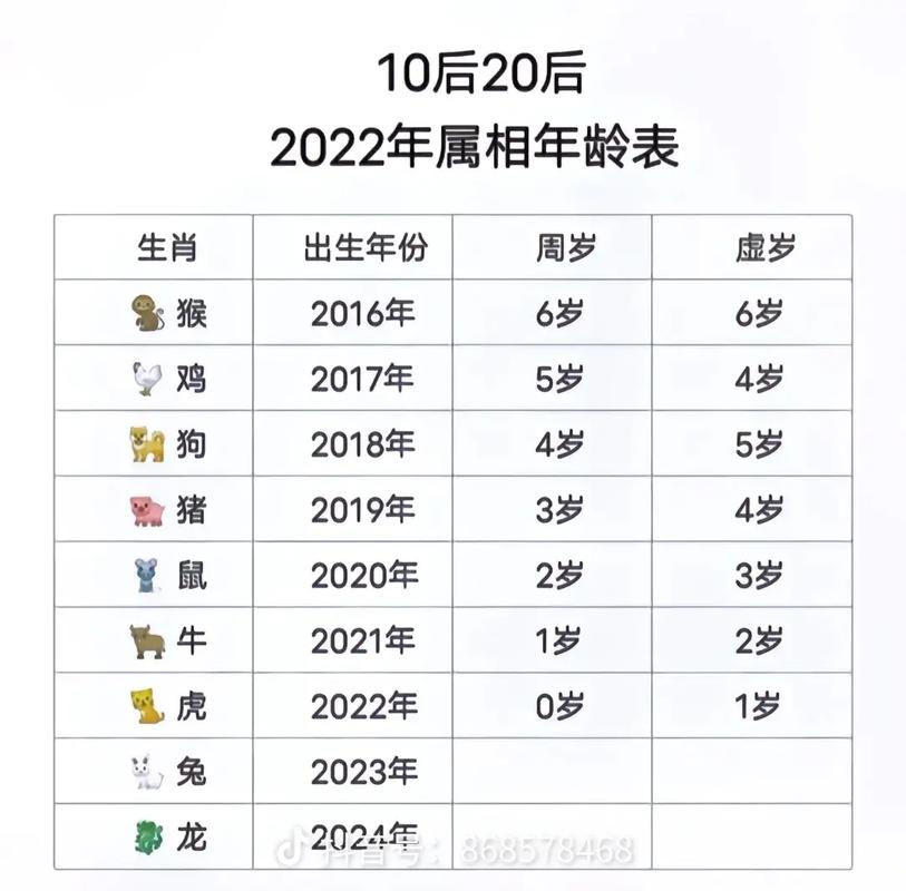 属龙的今年多大了