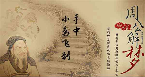 女人梦见小鸟飞到手上有什么征兆