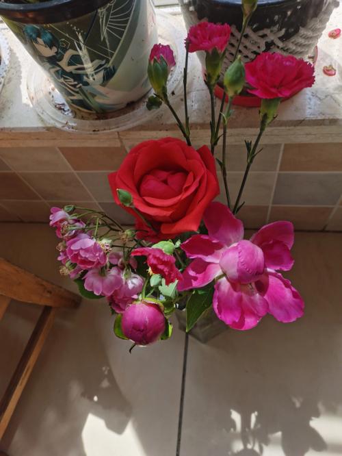 梦见芍药花怎么回事