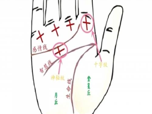 揭秘成功人士手掌上的纹路