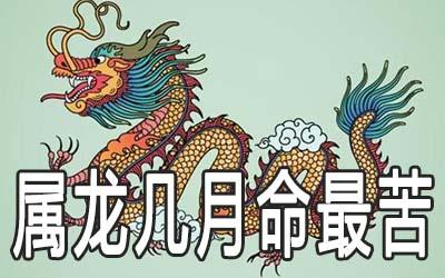 属龙人最倒霉的年份